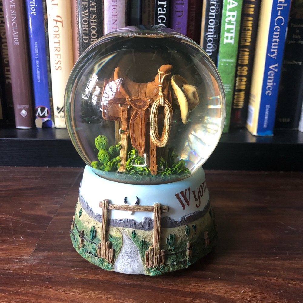 ☀San Francisco Music Box Company  W yoming Snow Globe
